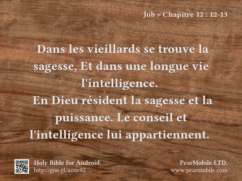 Job, Chapitre 12:12-13